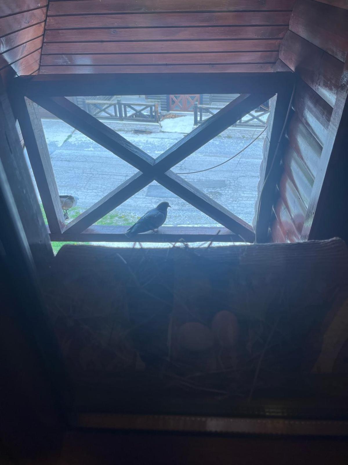 Apartmani "Matija" Žabljak Buitenkant foto
